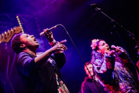 Solfest2016steviep 178