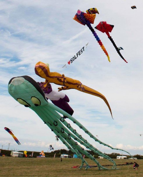 Kite Displays