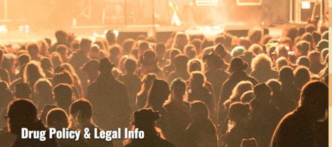 Information to do with drugs policy and Legal Concerns solfest august bank holiday music festival