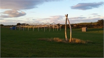 Untitled Photo